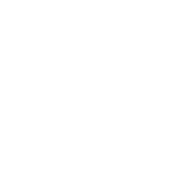 Ladenetz logo